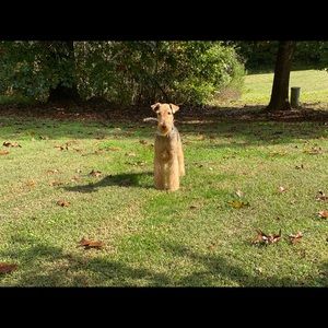 Meet your Posher, Caroline